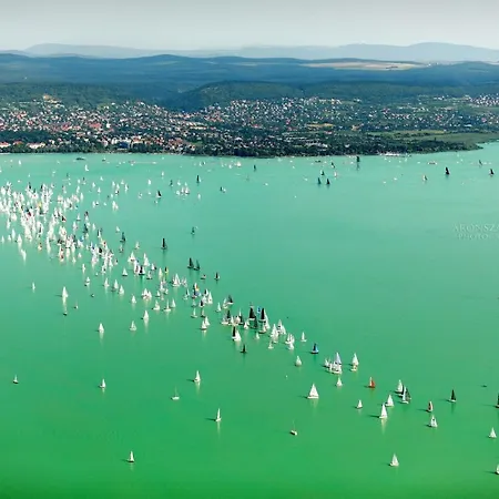 Bonita & Garage バラトンフレド